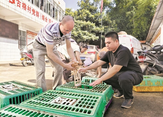微信截圖_20240716153327.png